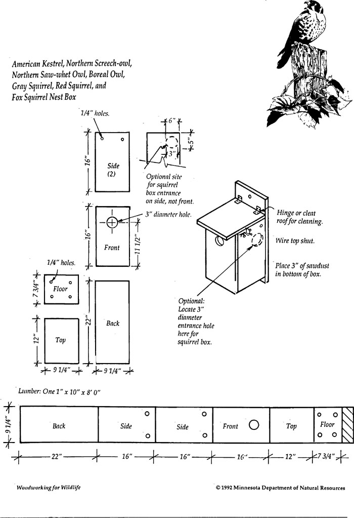 How To Build Chickadee Bird House Plans PDF Plans